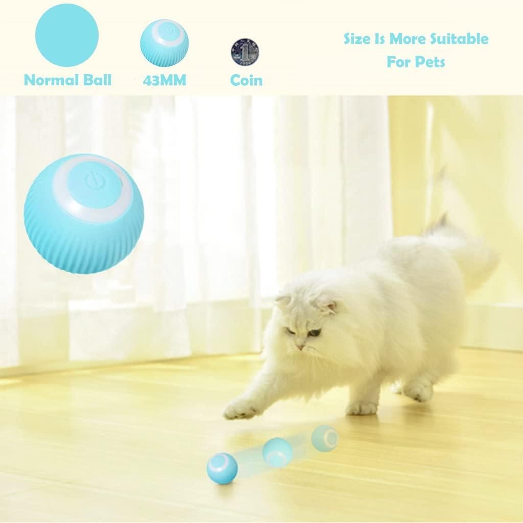 Cat Toy