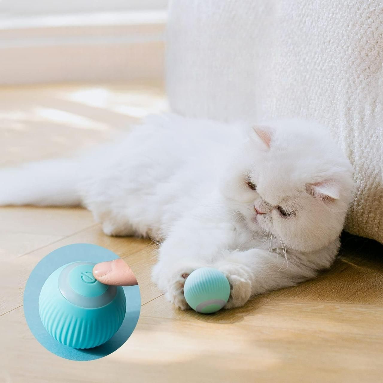 Cat Toy