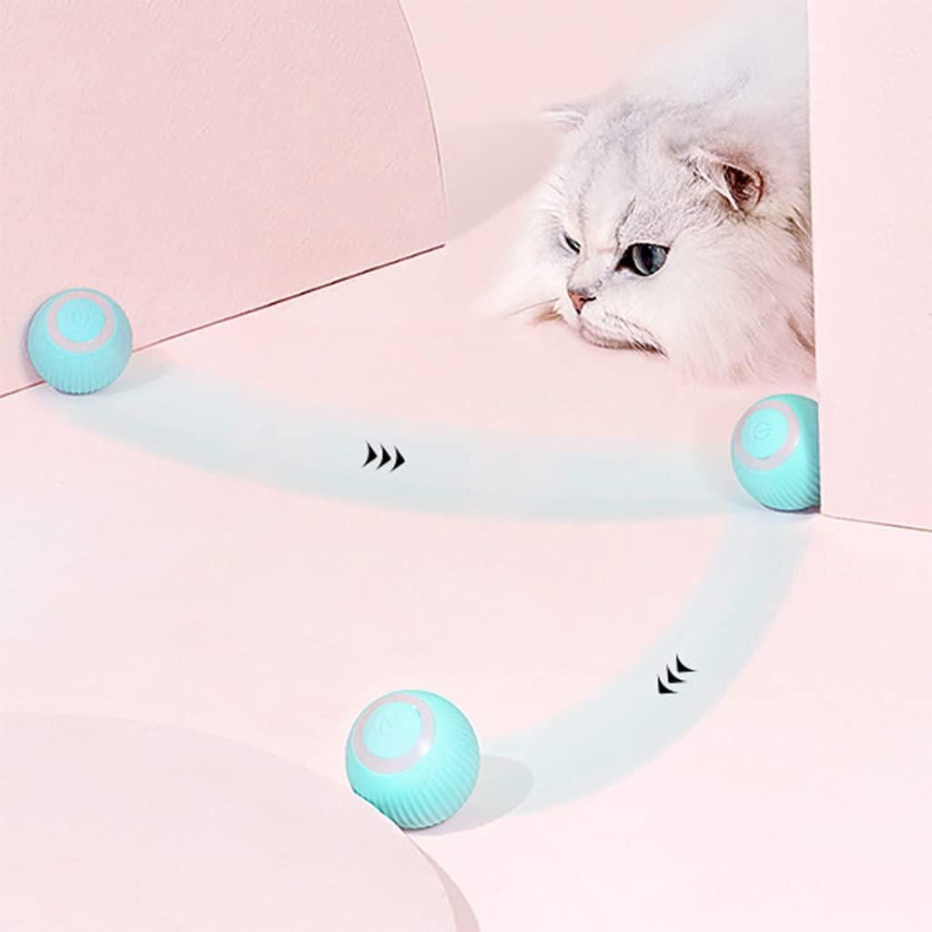 Cat Toy